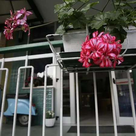Benvenuti Backpacker Hostel Hostel Rimini